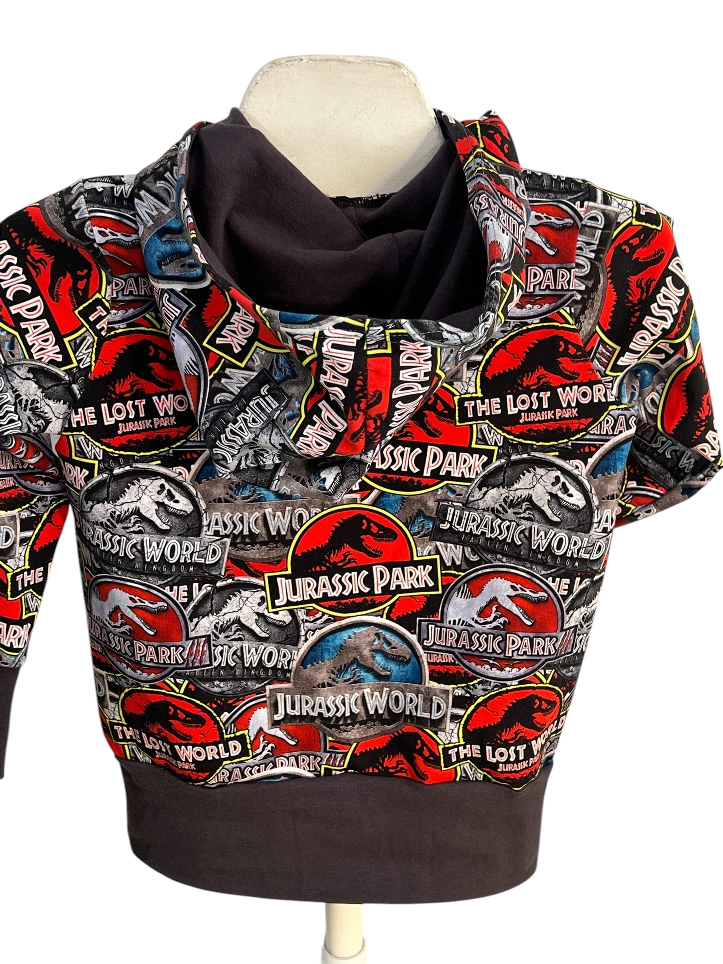 Grow-With-Me Hoodie:Dinosaur World-Size 3-6 year