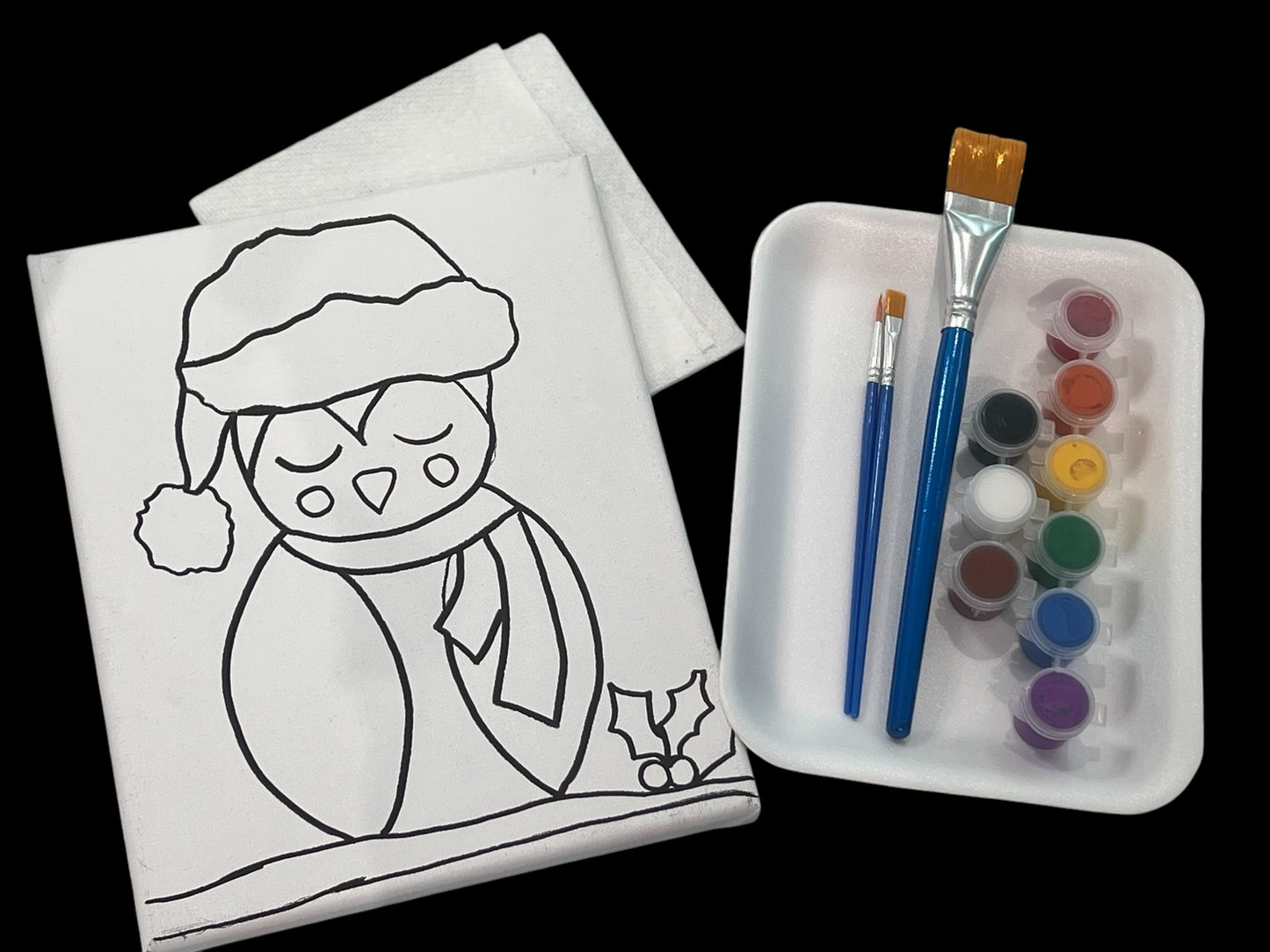 8*10 Paint Kits