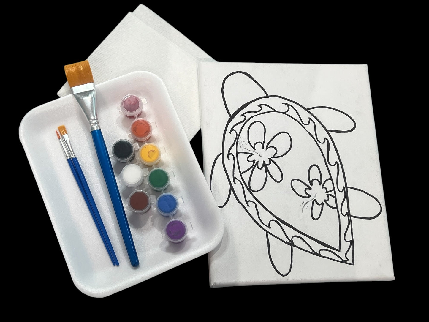 8*10 Paint Kits