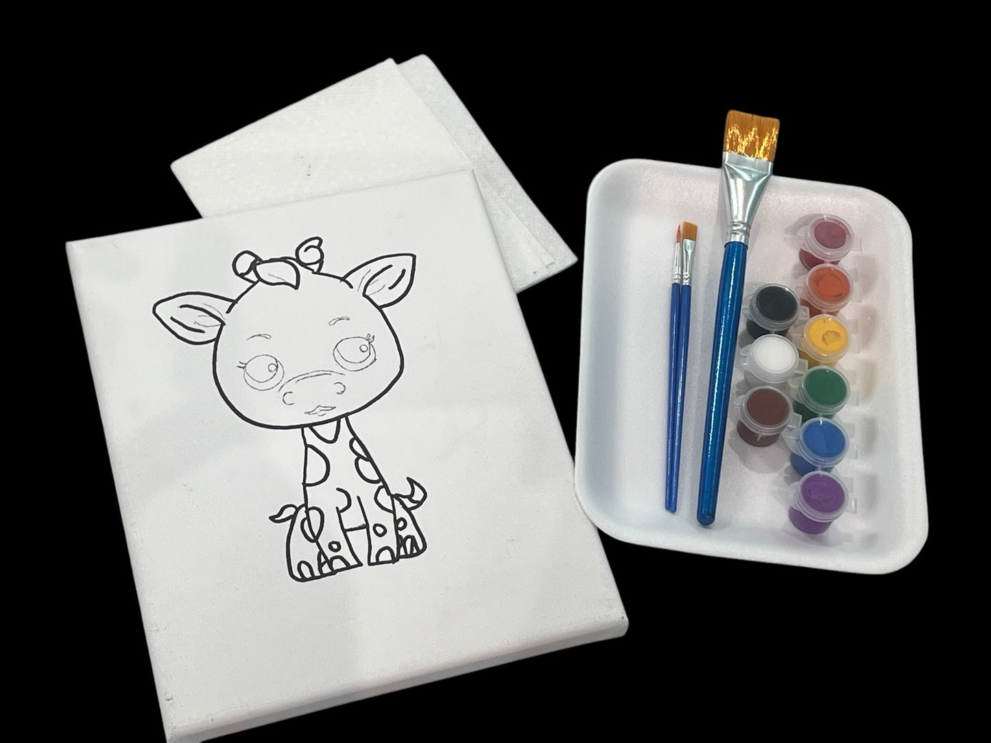 8*10 Paint Kits
