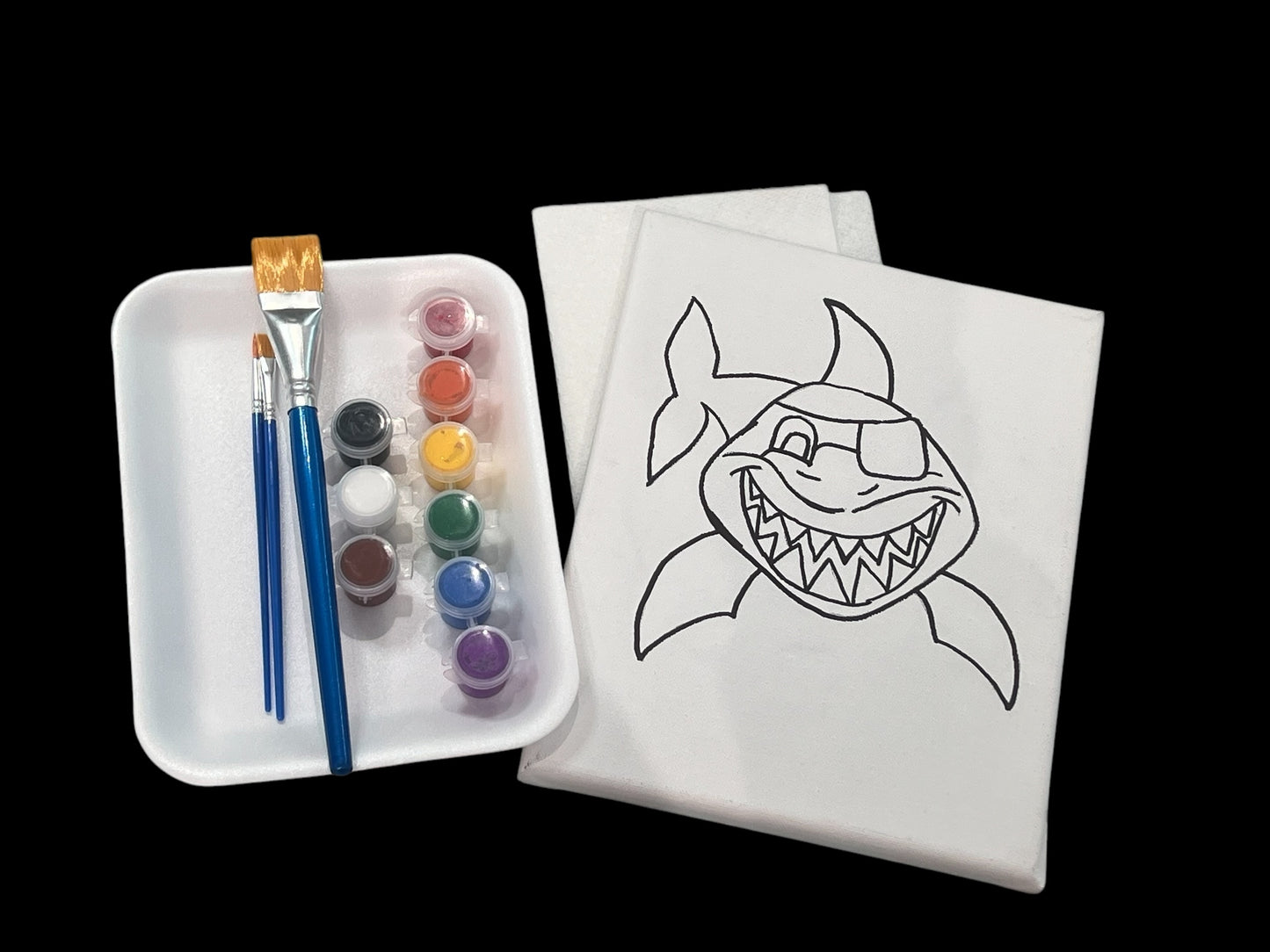 8*10 Paint Kits