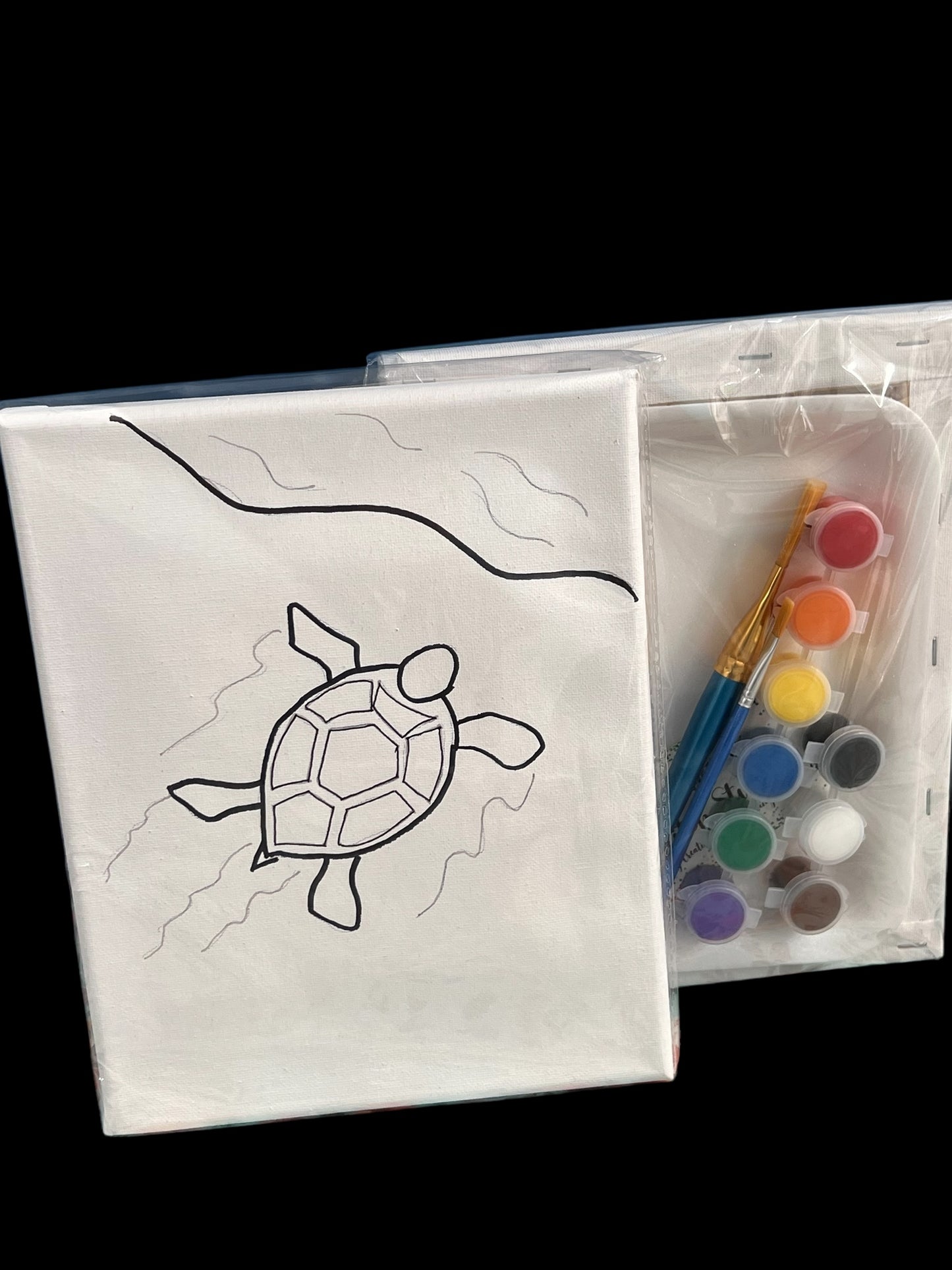 8*10 Paint Kits