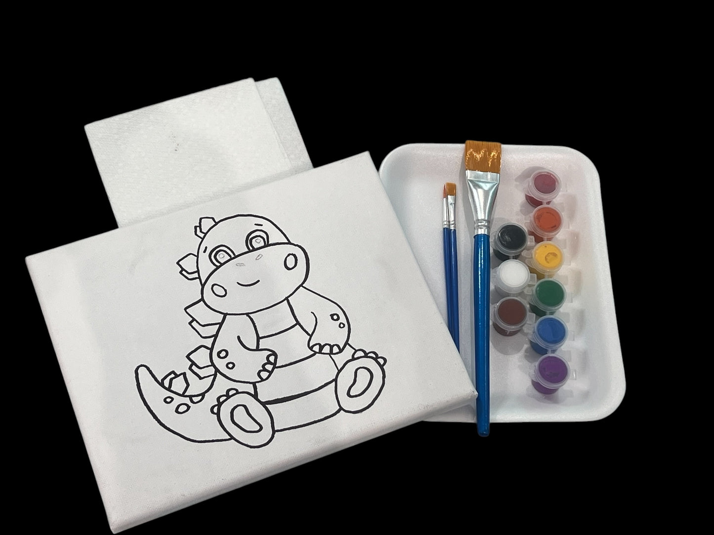 8*10 Paint Kits