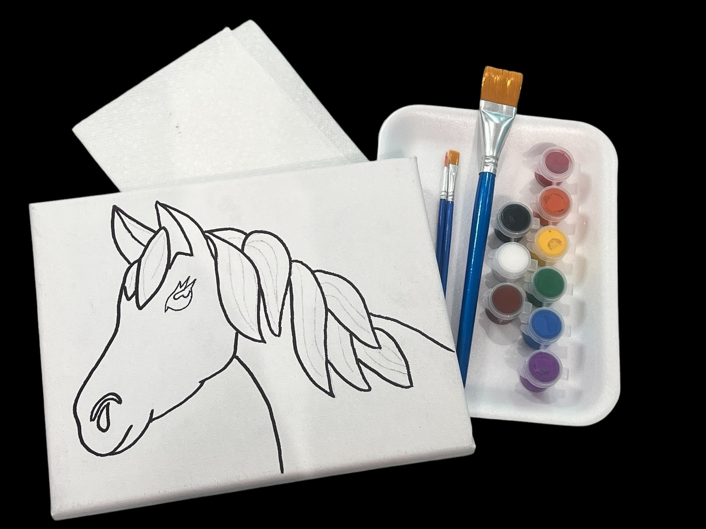 8*10 Paint Kits