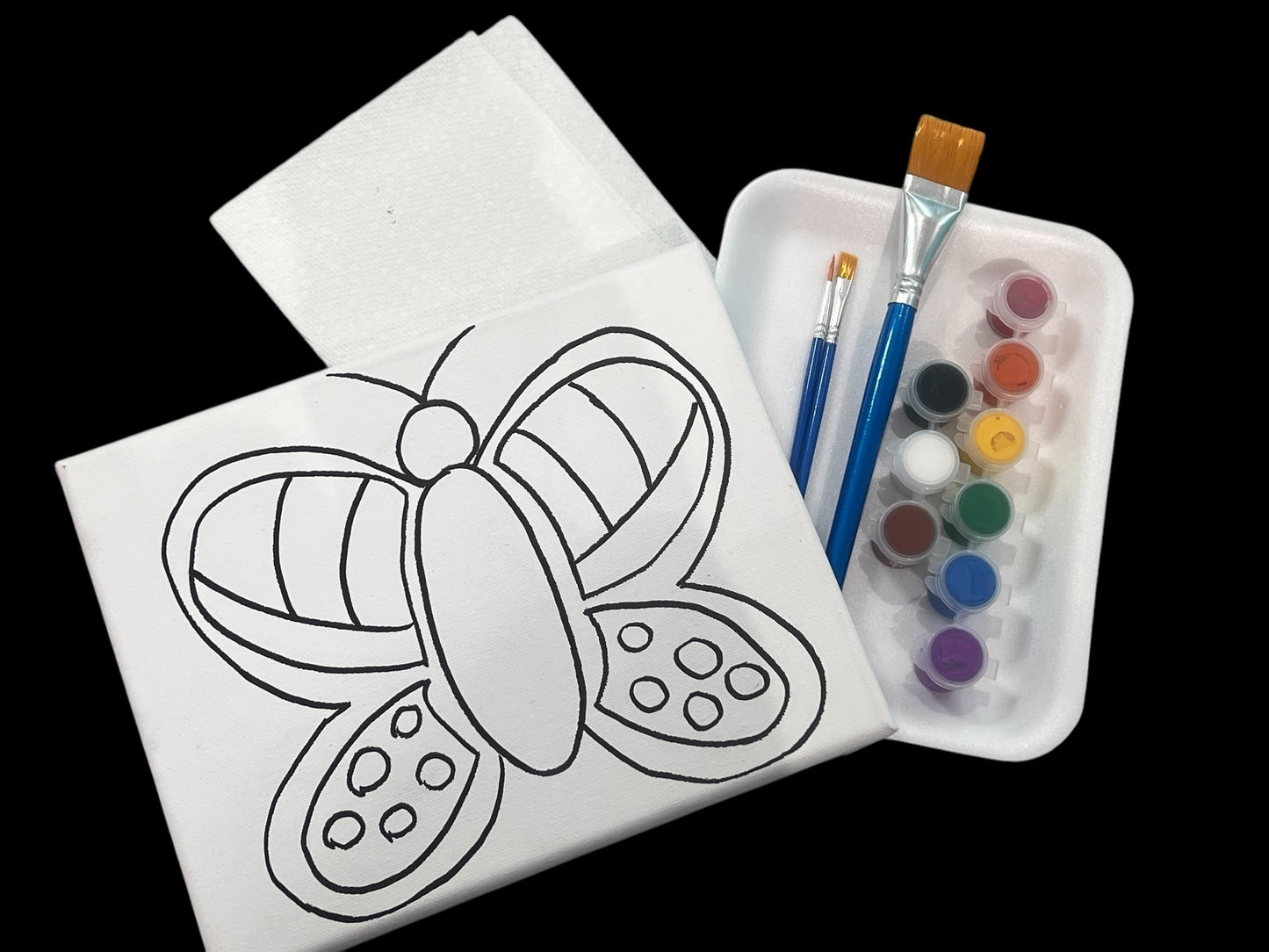 8*10 Paint Kits