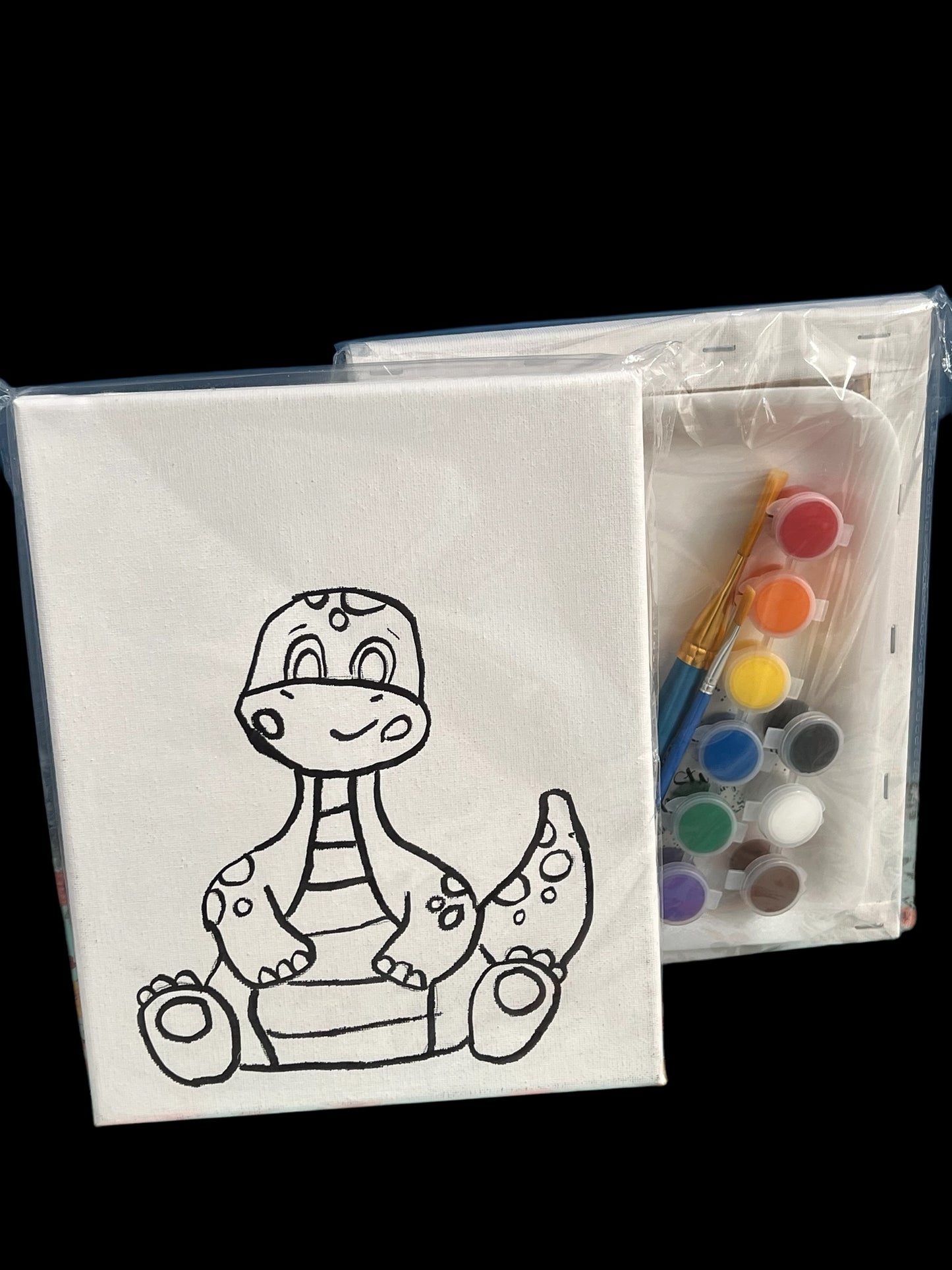 8*10 Paint Kits