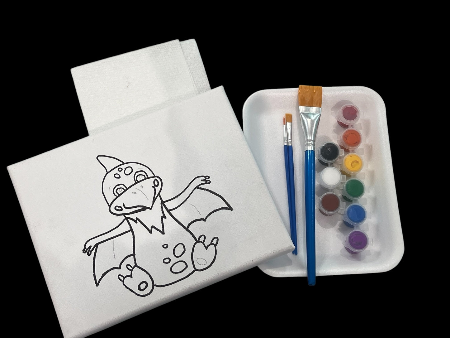 8*10 Paint Kits