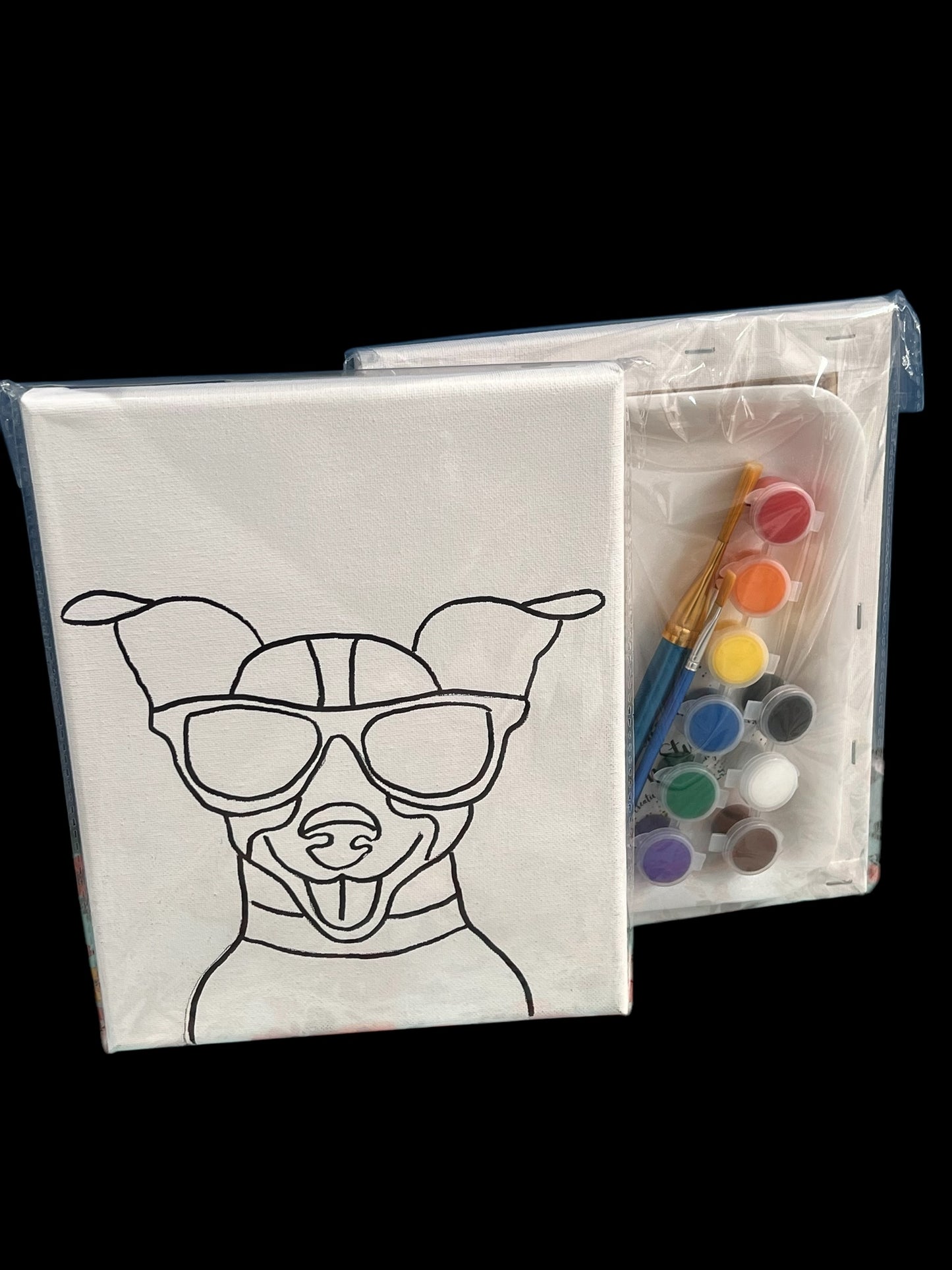 8*10 Paint Kits