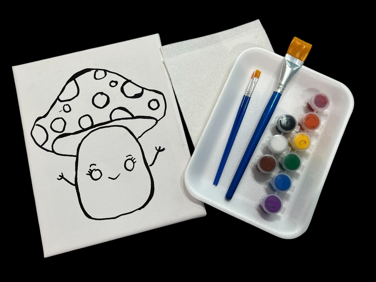 8*10 Paint Kits