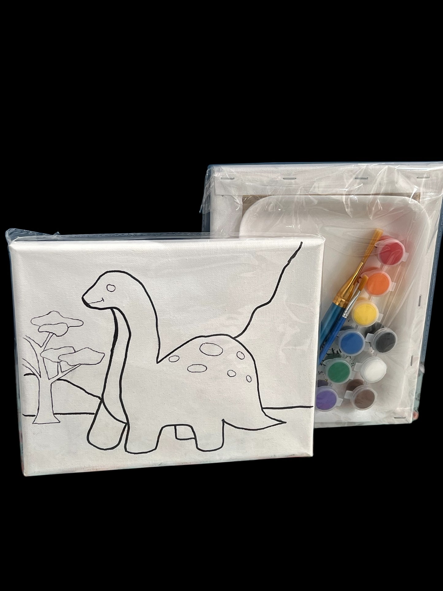 8*10 Paint Kits
