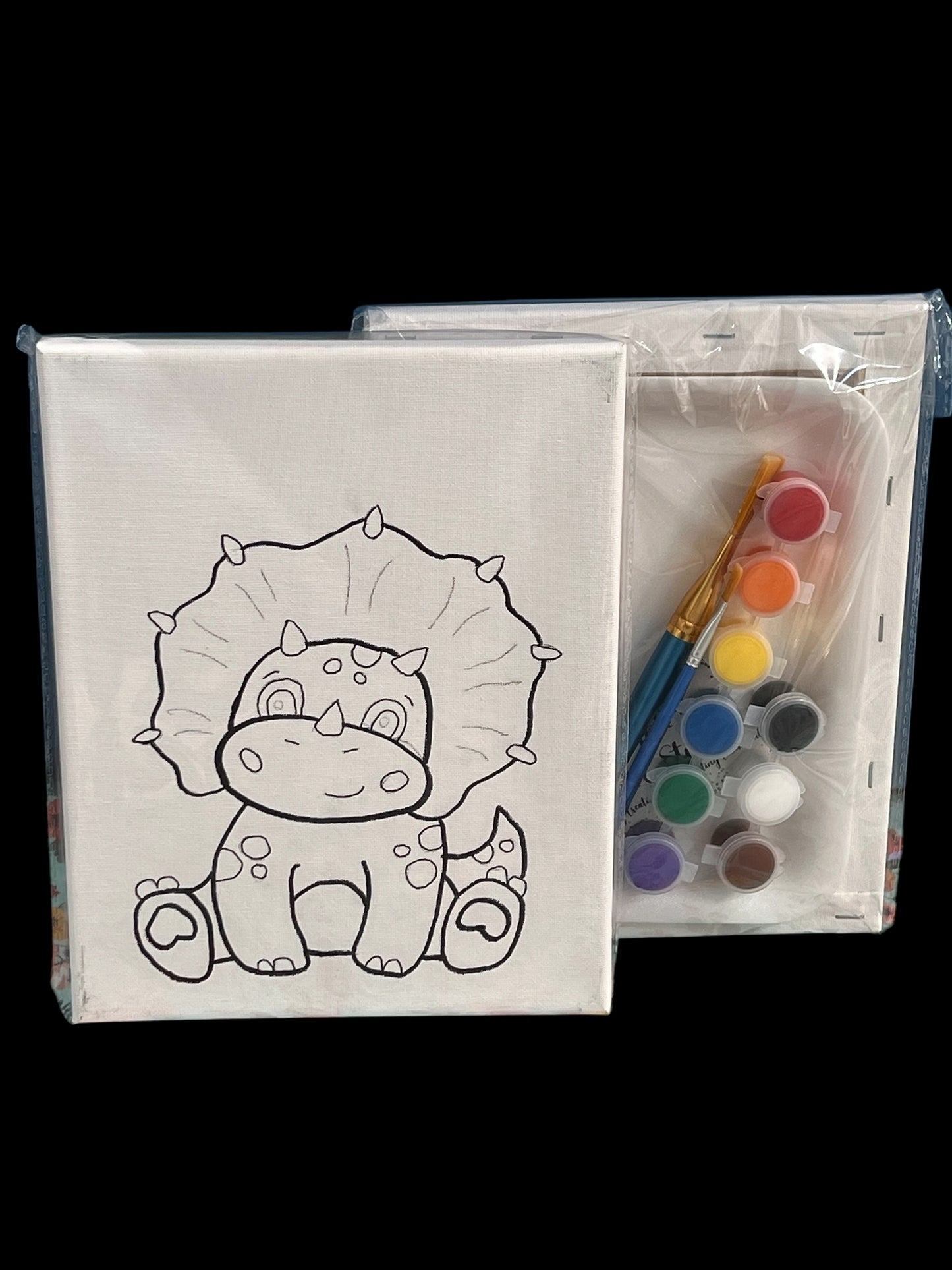 8*10 Paint Kits